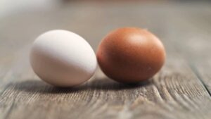 The Real Story on Desi Eggs vs. Farm Eggs